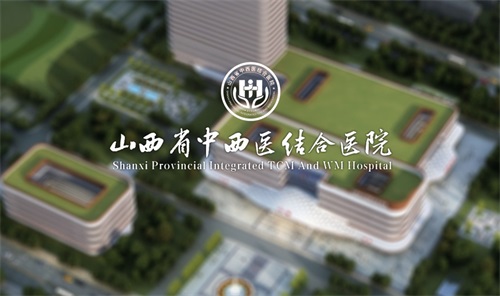 山西省中医西结合医院战略绩效管理咨询项目