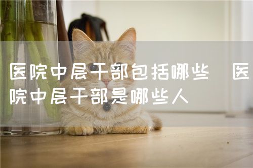 医院中层干部包括哪些(医院中层干部是哪些人)(图1) 医院中层干部包括哪些(医院中层干部是哪些人)(图1)