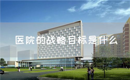 医院的战略目标是什么(图1) 医院的战略目标是什么(图1)