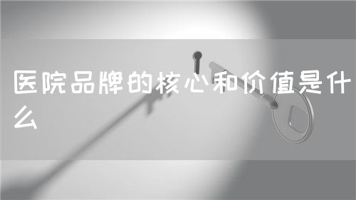 医院品牌的核心和价值是什么(图1) 医院品牌的核心和价值是什么(图1)