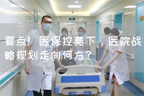 要点！医?？胤严?，医院战略规划走向何方？(图1)