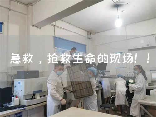 急救，抢救生命的现场?。?图1)