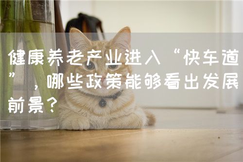 健康养老产业进入“快车道”，哪些政策能够看出发展前景？(图1)