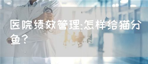 医院绩效管理:怎样给猫分鱼？(图1)