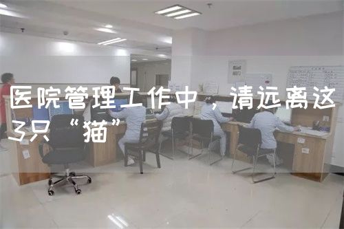 医院管理工作中，请远离这3只“猫”(图1)
