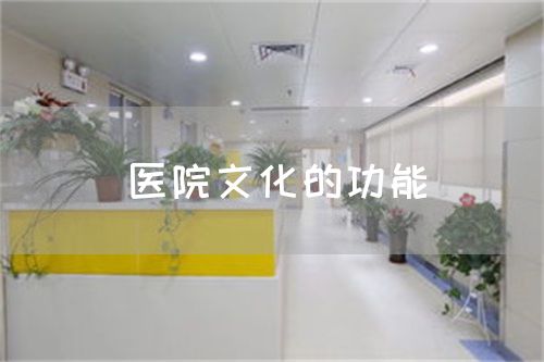医院文化的功能(图1) 医院文化的功能(图1)