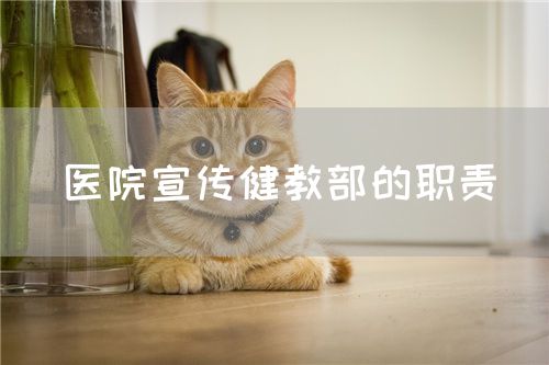 医院宣传健教部的职责(图1) 医院宣传健教部的职责(图1)