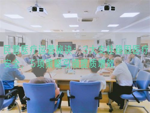 民营医疗运营秘诀：3大支柱稳固医疗安全，5项策略引领提质增效(图1)