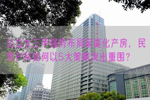 公立大三甲强势布局家庭化产房，民营产科如何以5大策略突出重围？(图1)