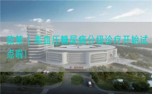 政策｜高血压糖尿病分级诊疗开始试点啦！(图1)