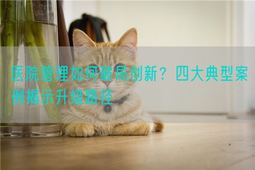 医院管理如何破局创新？四大典型案例揭示升级路径(图1)