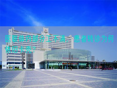 医联体内部分工不清，患者转诊为何依旧卡壳？(图1)