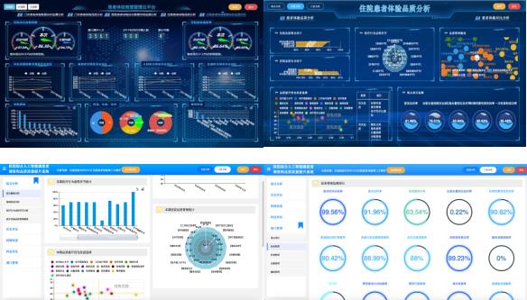 结果呈现及延伸服务项目 结果呈现及延伸服务项目
