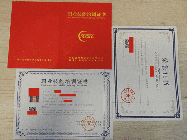 专业人才职业能力证书 专业人才职业能力证书